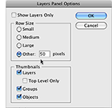 Layers Panel Options