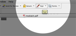 PDF digital signatures