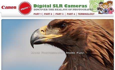 Make digital photography fun
