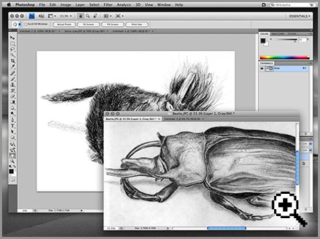 Photoshop Floating Frame